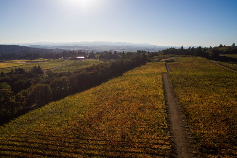 Weingut Lavinea