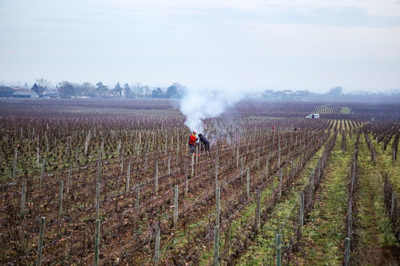 Weine Domaine Michel Niellon