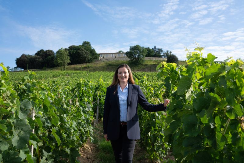 Winzer Château Quintus