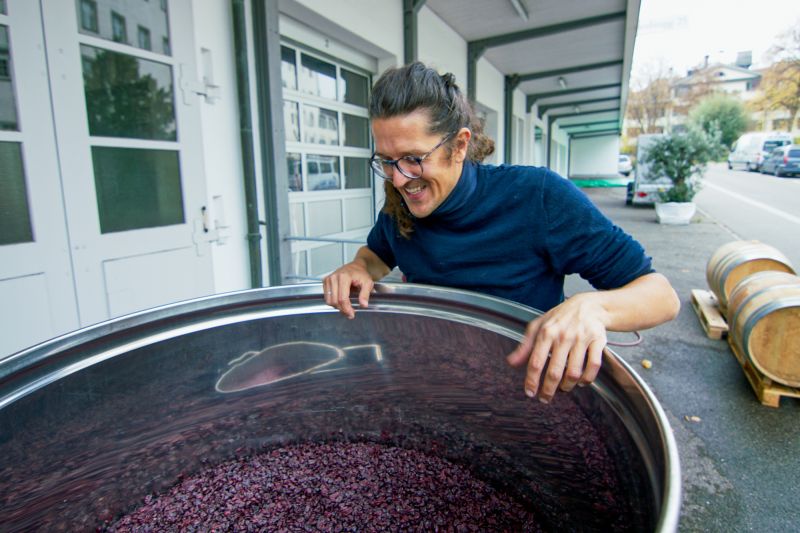 Weinbau Grob - Pinot Noir Schlossberg Chlapf