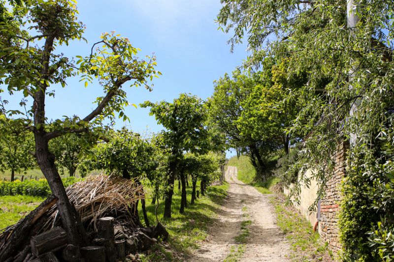 Weine Oddero Poderi e Cantine