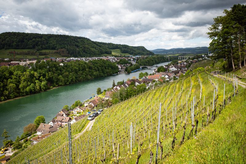 Wein Zürich