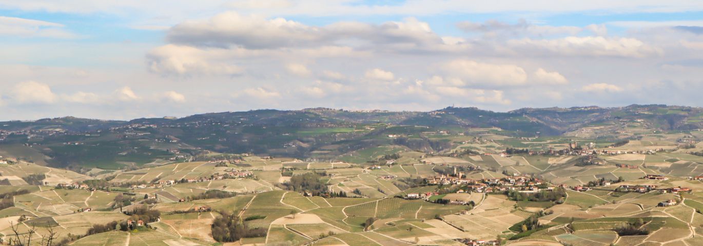Martel AG - Marcarini