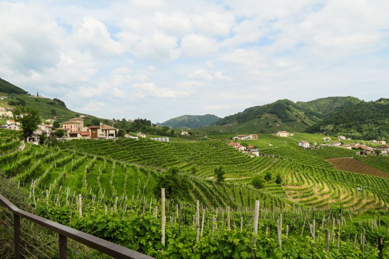 Weine Colli Orientali del Friuli