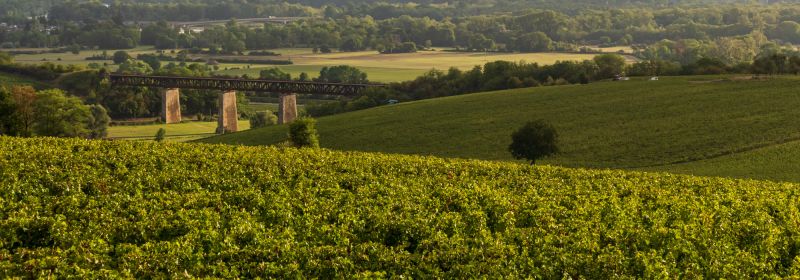 Martel AG - Roc de l'Abbaye, Florian Mollet