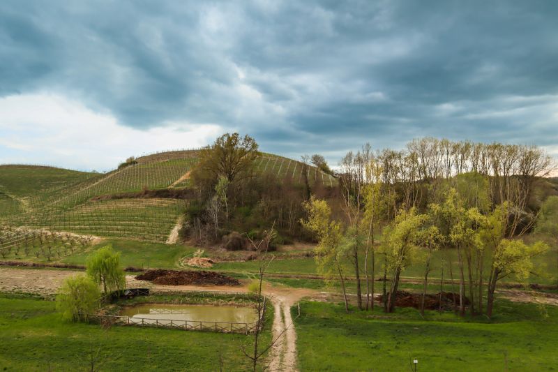 Wein Roero