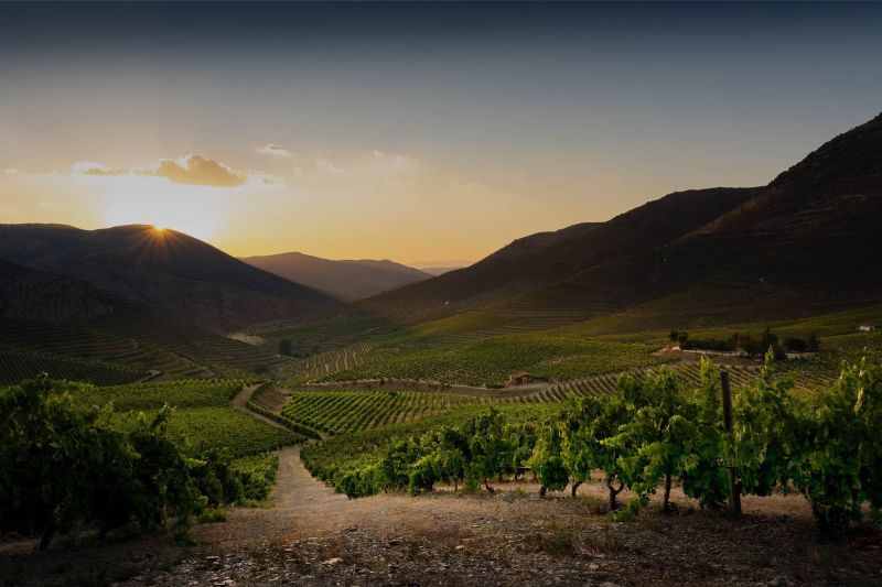 Weingut Casa Ferreirinha