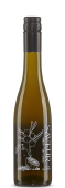 Apricot - Salty Lemon