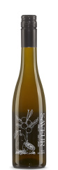 Apricot - Salty Lemon