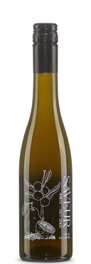 Apricot - Salty Lemon