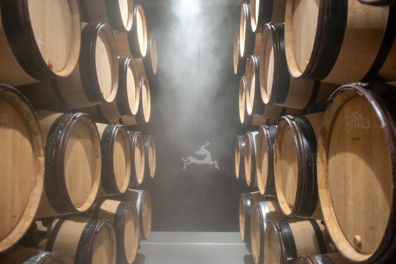 Weine Domaine des Landions