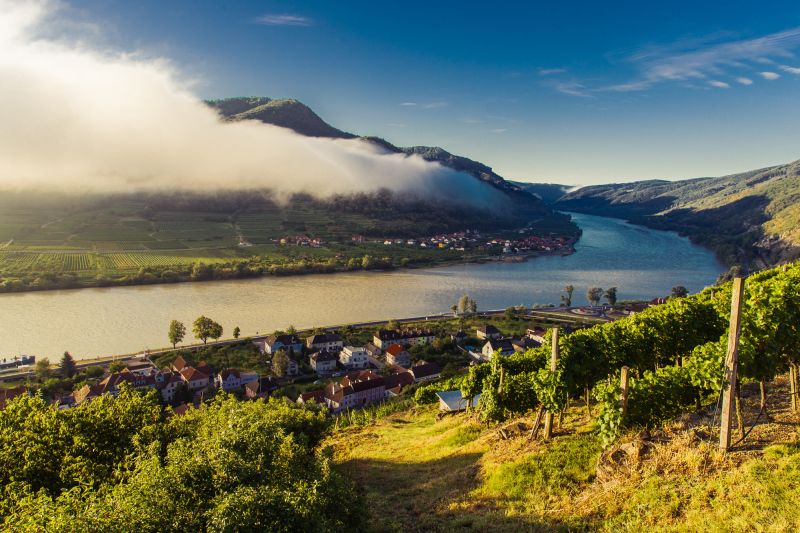 Wein Wachau