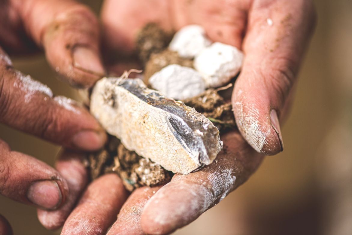 Weine Champagne Ulysse Collin