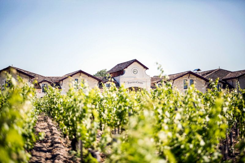 Weingut Château Pontet-Canet