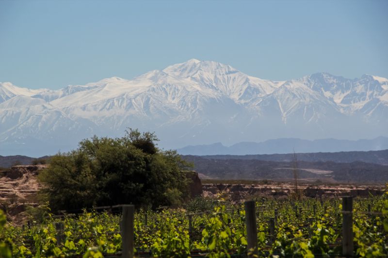 Weinregion Mendoza