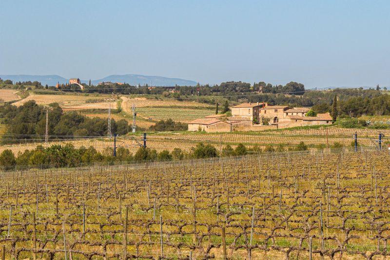 Weinregion Cava