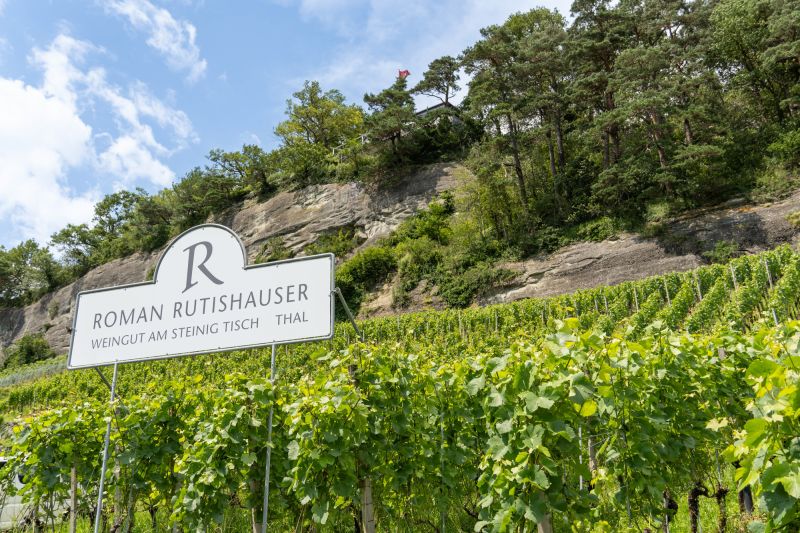 Weingut Roman Rutishauser