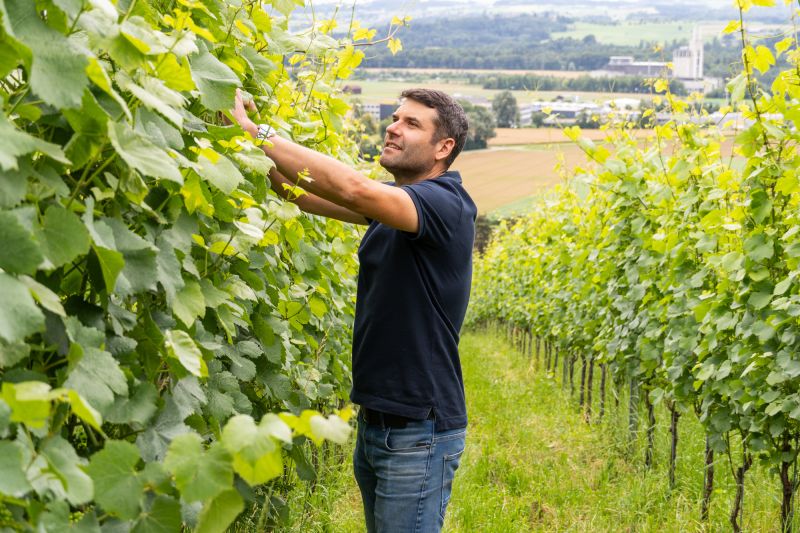 Winzer Weingut Wolfer