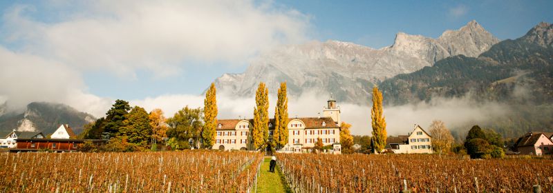 Martel AG - Schloss Salenegg