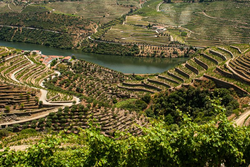 Weine Quinta da Boavista