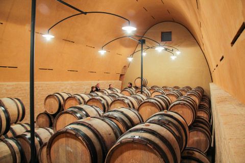 Martel Domaines Leflaive Associés