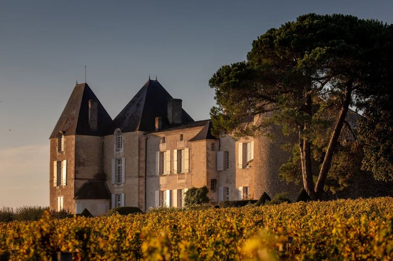 Weingut Château d'Yquem