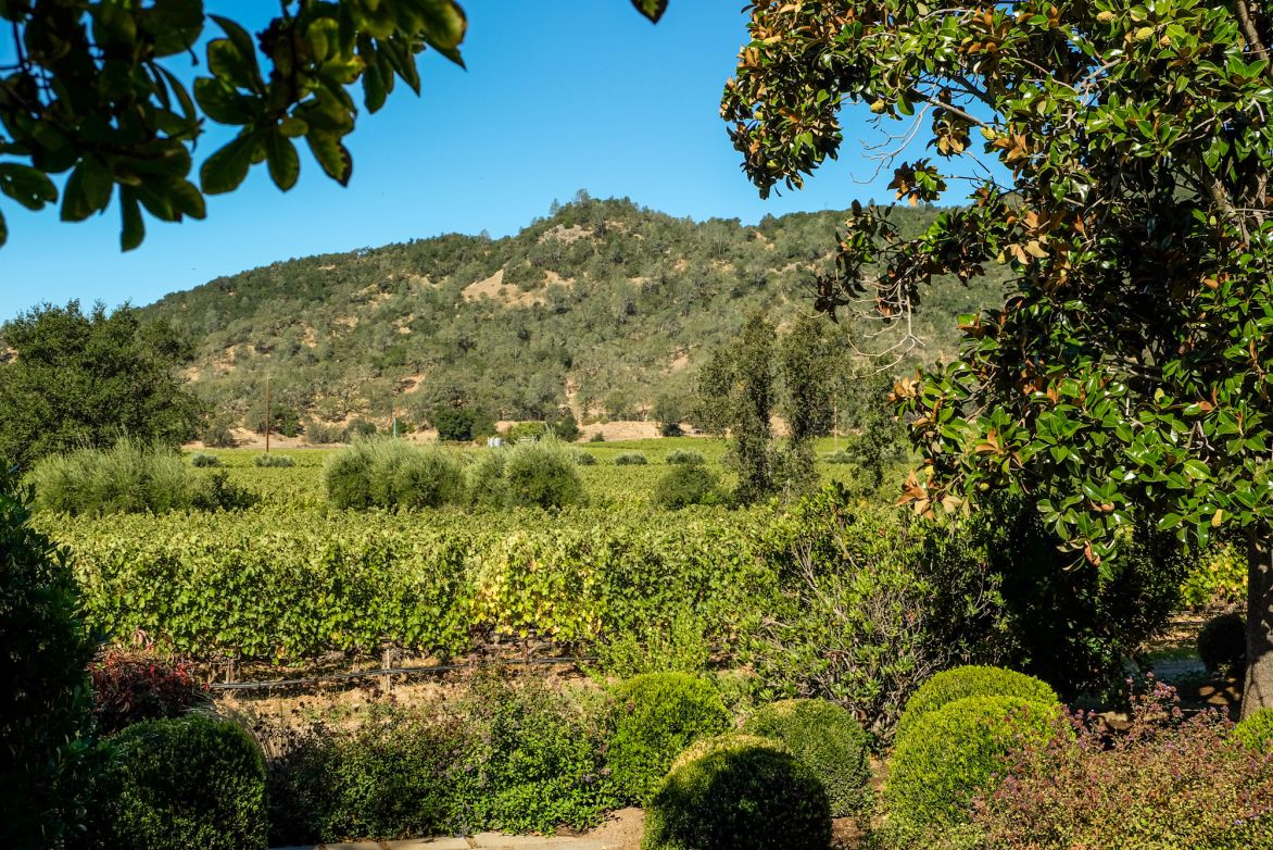 Martel Eisele Vineyard