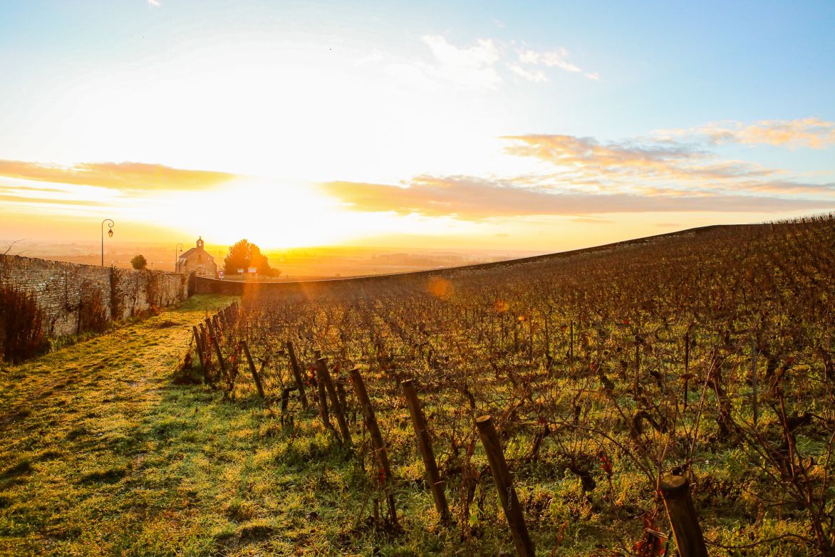 Martel Domaine de la Pousse d'Or