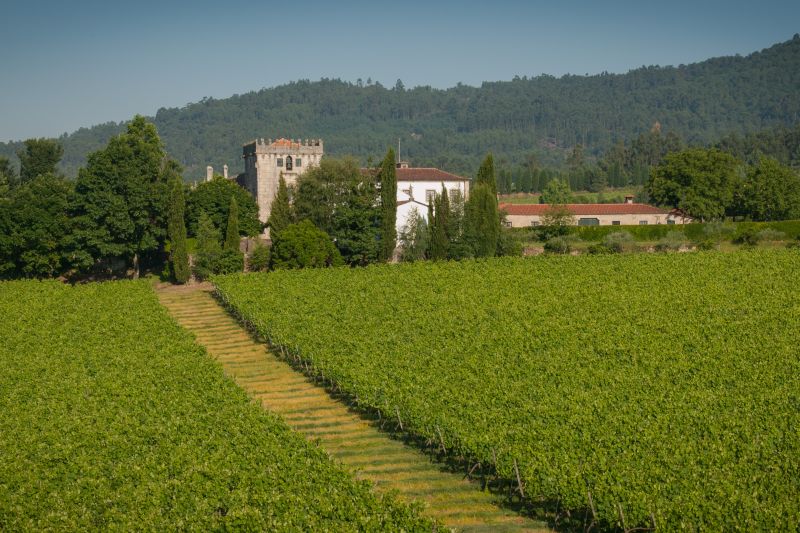 Martel Quinta de Azevedo