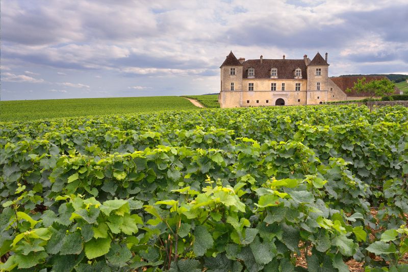 Weine aus Frankreich