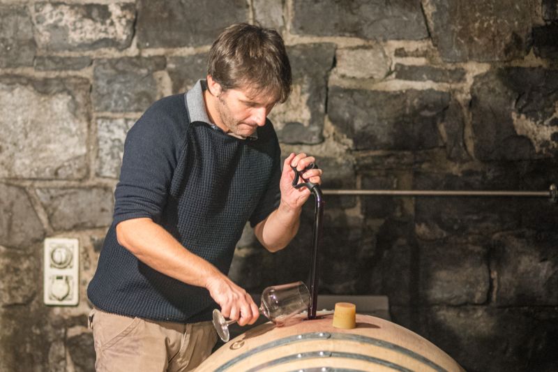 Winzer Tenuta Luigina