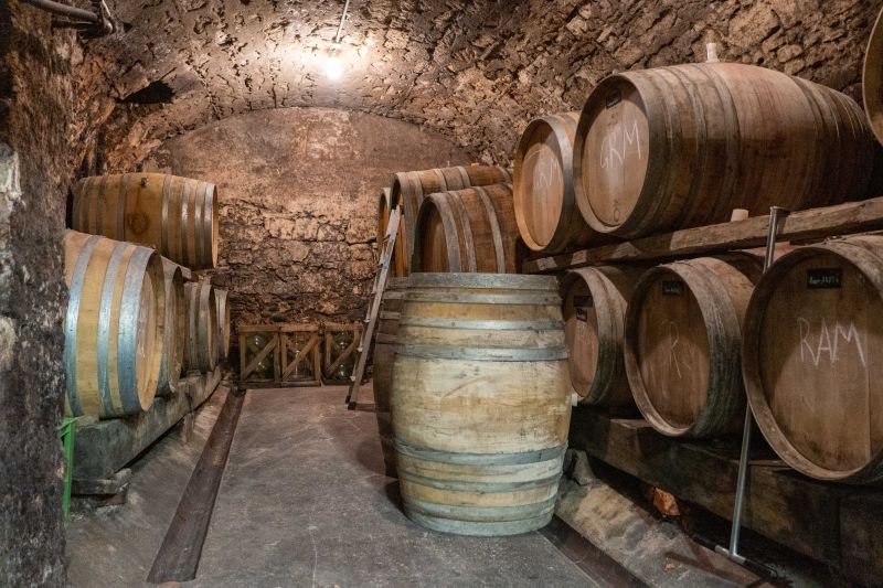 Weine Weingut Heidi Schröck & Söhne