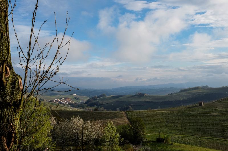 Weine aus der Region Chianti Classico