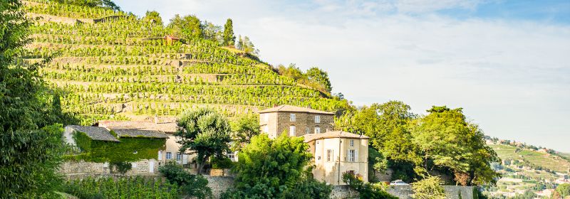 Martel AG - Château Grillet