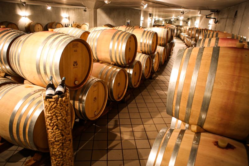 Weine Weingut Donatsch
