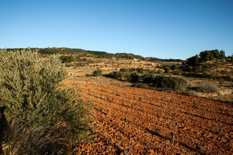 Weinregion Terra Alta