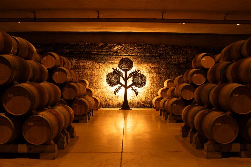 Martel Bodegas Roda