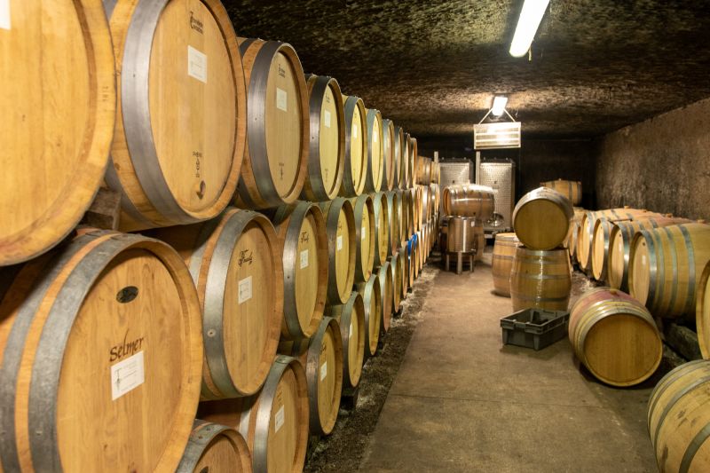 Weine Domaine Truchetet