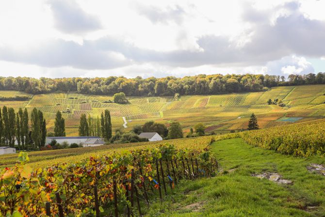 Weinregion Champagne