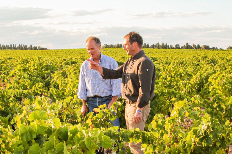 Winzer Domaine les Pallières