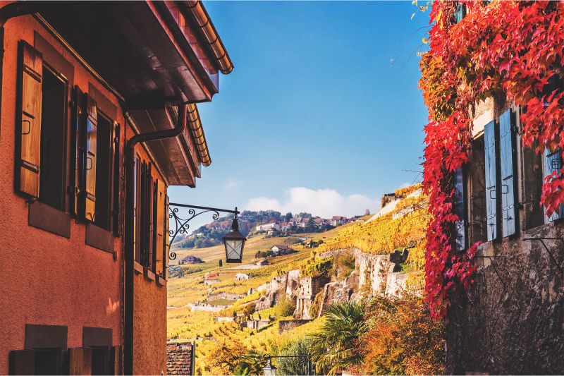 Wein Schweiz