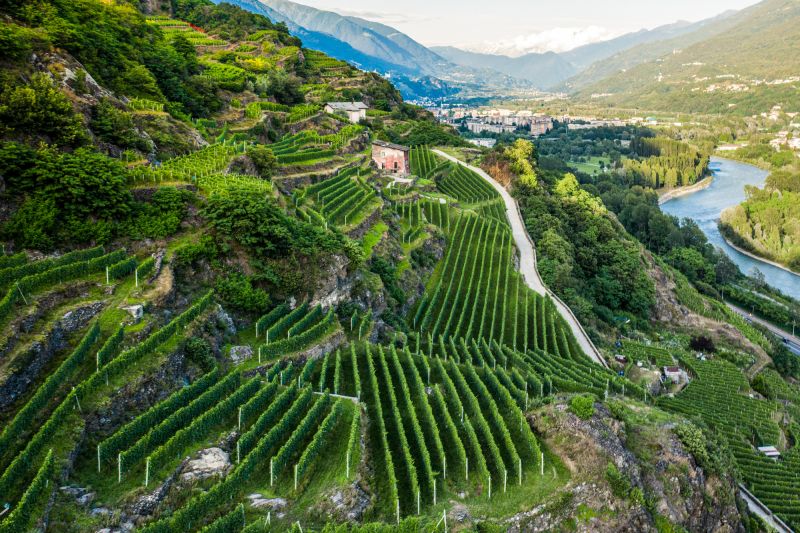 Wein Lombardei