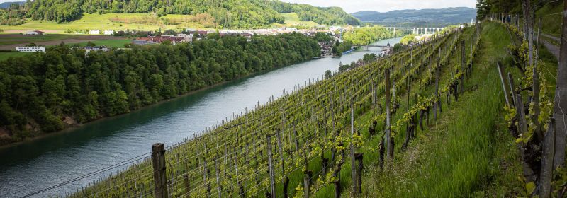 Martel AG - Weingut Pircher