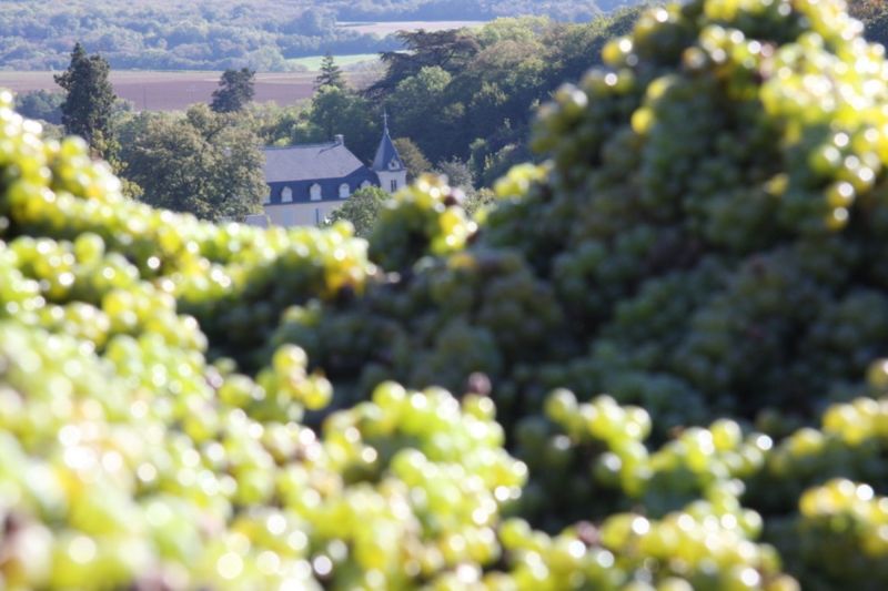 Weingut Domaine du Nozay