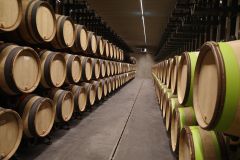 Martel Laurent Ponsot