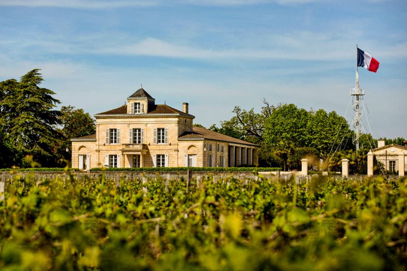Weingut Château Montrose