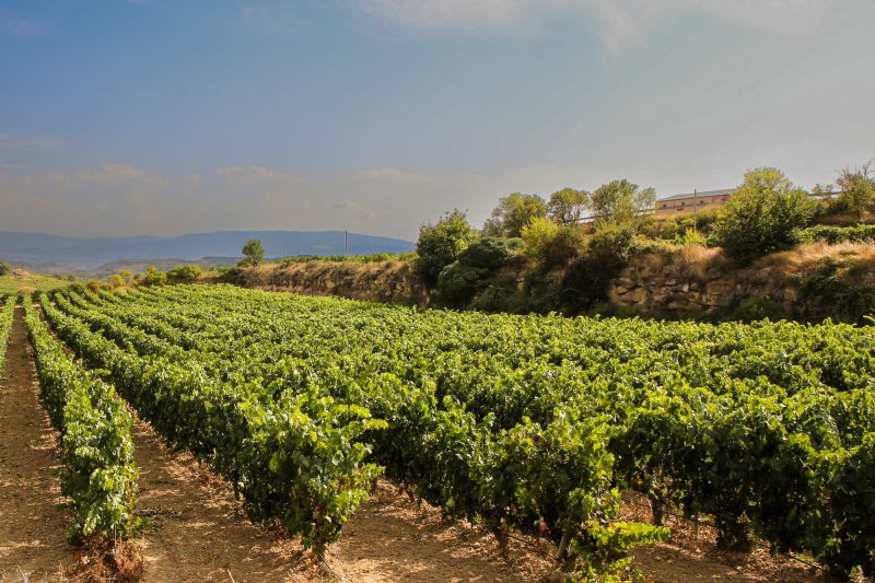 Weine Rioja