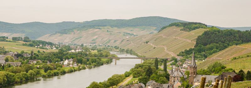 Martel AG - Schloss Lieser