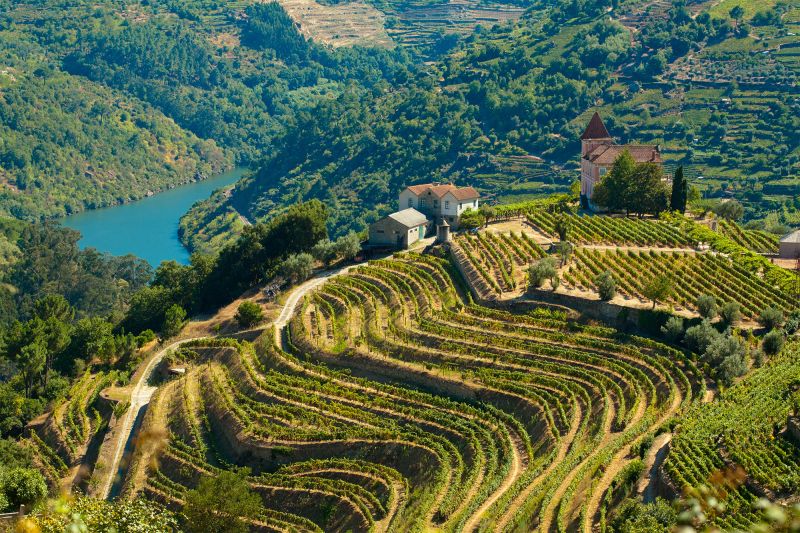 Weine aus Portugal