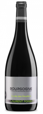 Bourgogne Rouge 2023